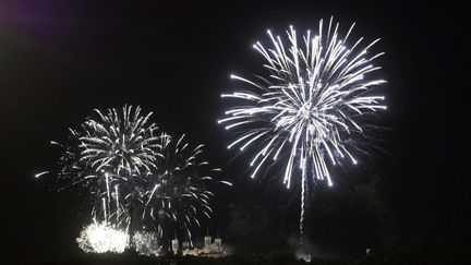 Photo d'illustration d'un feu d'artifice.&nbsp; (MAXPPP)