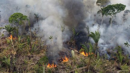 Vue aérienne d'une zone de feu dans la forêt amazonienne au Brésil, le 17 septembre 2022. (MICHAEL DANTAS / AFP)