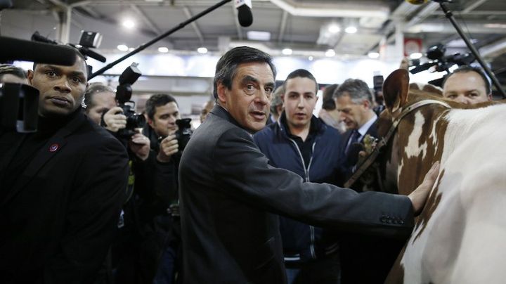 L'ancien Premier ministre Fran&ccedil;ois Fillon visite le Salon de l'agriculture, &agrave; Paris,&nbsp;le 28 f&eacute;vrier 2013. (KENZO TRIBOUILLARD / AFP)