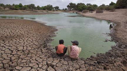 &nbsp; (Sécheresse en Inde en 2012 © REUTERS/Ahmad Masood)