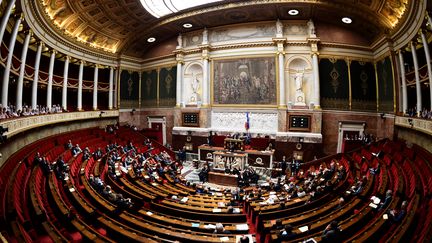 L'hémicycle de l'Assemblée nationale à Paris, le 18 juin 2015. (BERTRAND GUAY / AFP)