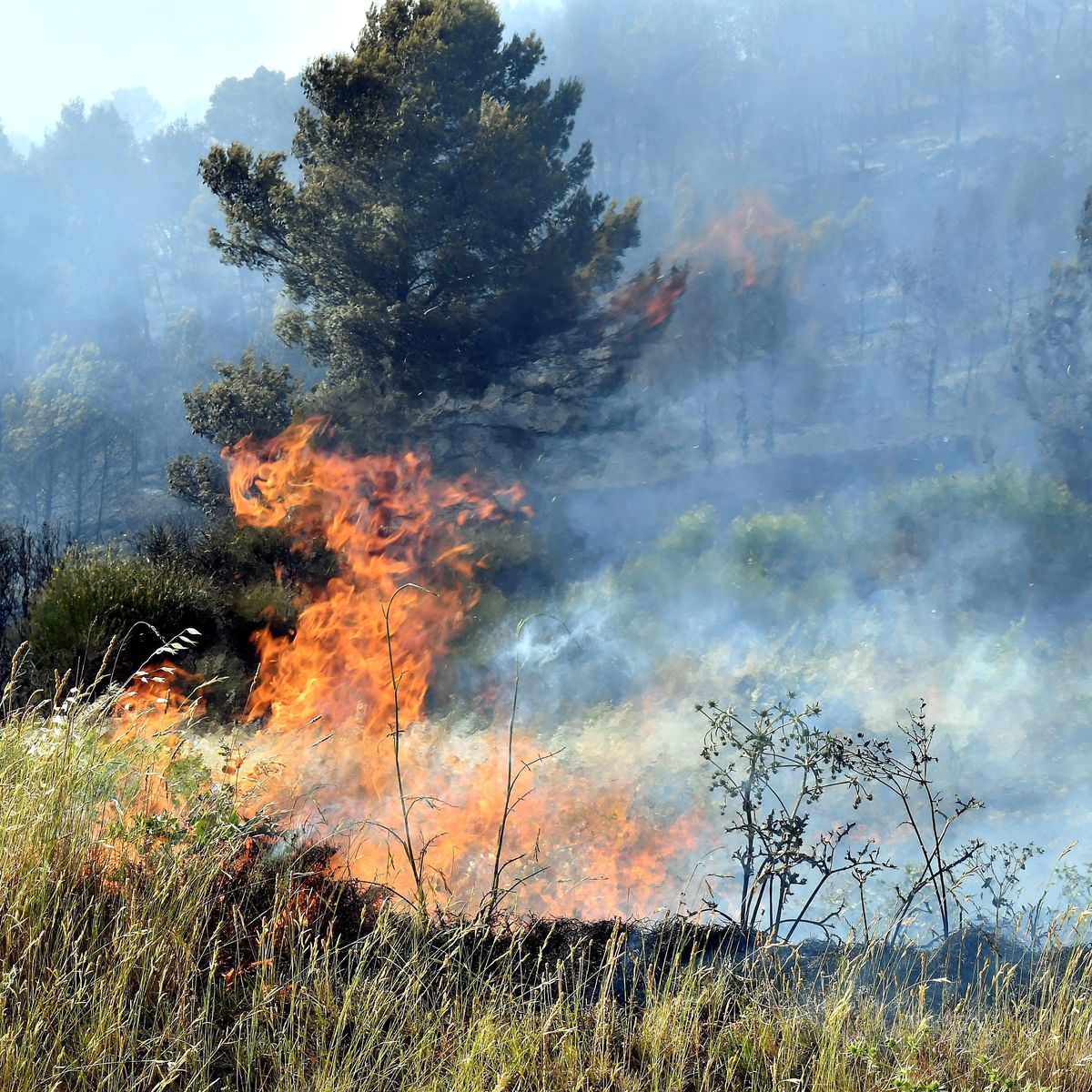 Incendies : 80% des départs de feu sont liés à l'activité humaine,  rappelle un pompier