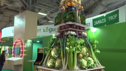 En plein salon de l’agriculture, le gouvernement a détaillé, mercredi 1er mars, un plan pour augmenter la part de produits cultivés sur notre sol. Pour l’instant, les maraîchers français ne fournissent que 40 % des fruits et 60 % des légumes consommés. (FRANCE 2)