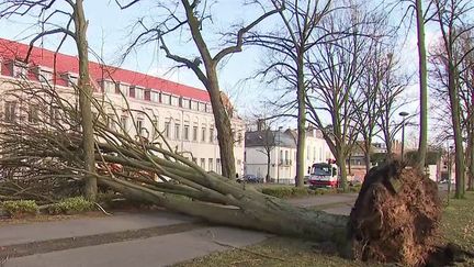 Tempête Eunice : le nord-ouest de la France frappé de plein fouet