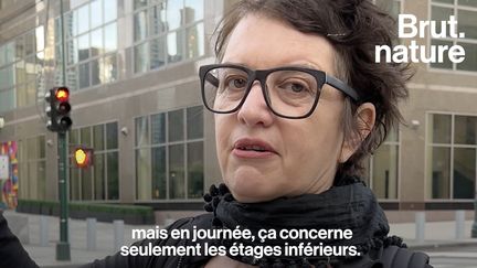 Chaque année aux Etats-Unis, jusqu’à 1 milliard d’oiseaux migrant du Canada vers l'Amérique centrale, les Caraïbes, ou encore l’Amérique du sud, meurent dans le pays. Brut a cherché à savoir pourquoi.&nbsp; (BRUT / FRANCEINFO)