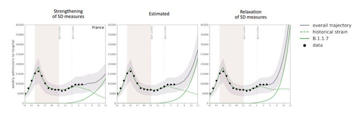 Les points correspondent aux données déjà connues, la ligne pointillée correspond à la souche historique, la ligne continue verte au variant dit "britannique" et la ligne noire cumule les deux. (INSERM)