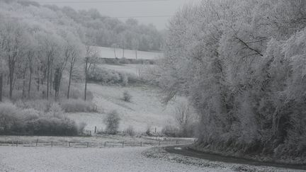 Un paysage enneigé à Flixecourt (Somme), le 1er janvier 2017. (MAXPPP)