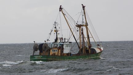 Un bateau de pêche néerlandais, le 4 septembre 2015. (TON KOENE / AFP)