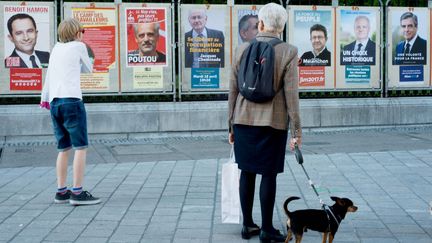 Des panneaux électoraux, à Pau (Pyrénées-Atlantiques), le 10 avril 2017. (LAURENT FERRIERE / HANS LUCAS / AFP)