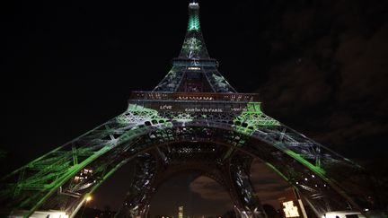 &nbsp; (La tour Eiffel était éclairée en vert pour l'ouverture de la COP21 © Reuters/Eric Gaillard)