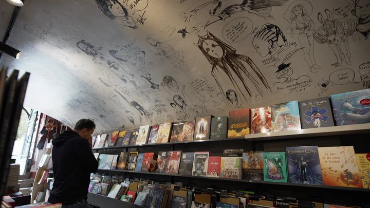 Le plafond voûté de la libraire lyonnaise Expérience signé par les plus grands artistes du 9e art. (V. Diguat / E.Mechenin / France 3 Rhône-Alpes)