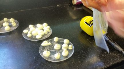 &nbsp; (Les meringues ratées de Cécilia Arbona © Cécilia Arbona - Radio france)