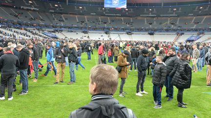 Une vue de la pelouse du Stade de France à Saint-Denis (Seine-Saint-Denis), le 13 novembre 2015.&nbsp; (MIGUEL MEDINA / AFP)