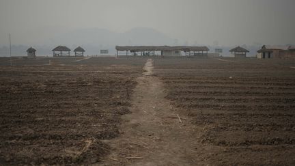 Aujourd'hui, c'est avec son champ biologique qu'il veut changer les pratiques agricoles et il se prépare à accueillir sa deuxième promotion de 60 paysans. Jeunes ou âgés, venant de différentes régions centrafricaines, ils vont travailler pendant quatre mois dans sa ferme en échange d'une formation aux outils d'analyse et aux techniques agricoles. &nbsp; (FLORENT VERGNES / AFP)