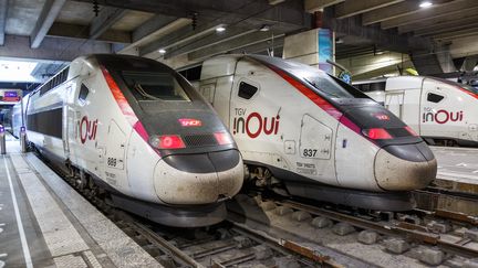 Des trains en gare Montparnasse (Paris), en juin 2022 (image d'illustration). (MARKUS MAINKA / MAXPPP)