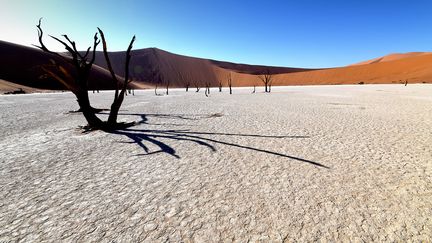 Ces dunes se sont formées par l’accumulation du sable transporté par les vents. La plus élevée, surnommée "Big Daddy", peut atteindre 400 mètres. (MATTHIAS TOEDT / DPA-ZENTRALBILD / DPA PICTURE-ALLIANCE)