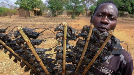 Un homme vend des brochettes de souris le long de la route Lilongwe-Blantyre dans le district de Ntcheu, région orientale du Malawi, le 24 août 2020.  (- / AFP)