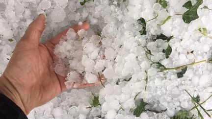 De violents orages, accompagnés de chutes de grêle, se sont abattus sur le département de la Loire, le 15 juin 2019.&nbsp; (MAXPPP)