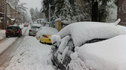 Quelque 20 cm de neige sont tomb&eacute;s, mercredi 20 novembre, &agrave; Saint-Etienne (Loire). (DENIS SEBASTIEN / FRANCE 2)