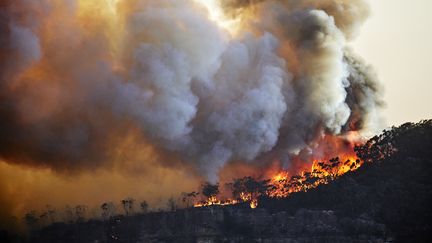 Un forêt en feu en Australie le 1er décembre 2019. (ANDREW MERRY / MOMENT RF / GETTY IMAGES)