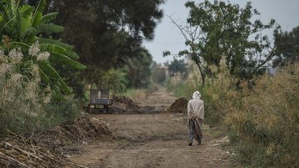 Le président égyptien a fait de l'eau du Nil une "question de vie ou de mort" pour la nation, notamment dans le contexte des négociations peu concluantes sur le Nil avec ses voisins éthiopiens et soudanais. (MOHAMED EL-SHAHED / AFP)