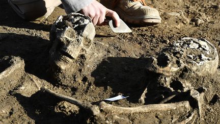 Nécropole antique découverte à Bordeaux le 6 décembre 2016
 (GEORGES GOBET / AFP)