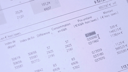 Énergie : le prix de l’électricité très salée pour de nombreux consommateurs (France 3)