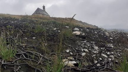 Les traces de l'incendie de juillet 2022 sont encore bien présentes autour de la chapelle Saint-Michel. (GUILLAUME FARRIOL / FRANCEINFO)