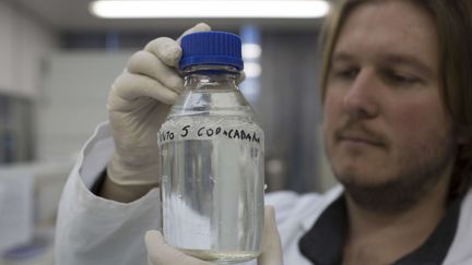 Le scientifique Rodrigo Staggemeier observe un &eacute;chantillon d'eau pr&eacute;lev&eacute; sur la plage de Copacabana &agrave; Rio (Br&eacute;sil), le 9 juillet 2015. (LEO CORREA / AP / SIPA )