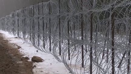 La Pologne se barricade contre les&nbsp;migrants&nbsp;venus de Biélorussie (CAPTURE ECRAN FRANCEINFO)