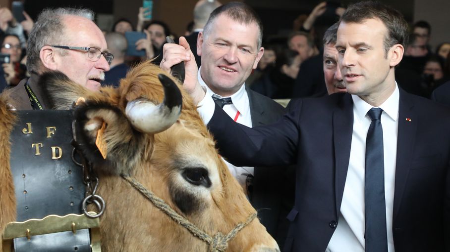 Salon De Lagriculture Un Temps De Présence Record Pour Emmanuel Macron 