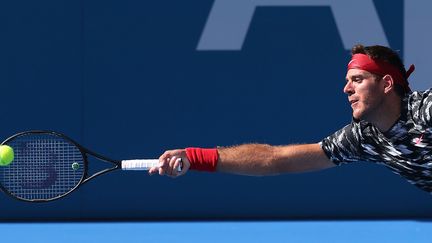 Juan Martin Del Potro est de retour après 10 mois d'absence (CRAIG GOLDING / AFP)