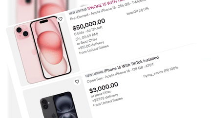 Etats-Unis : des smartphones équipés de TikTok vendus plusieurs milliers de dollars