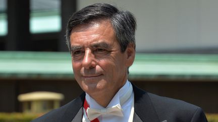 Fran&ccedil;ois Fillon &agrave; Tokyo (Japon), le 9 mai 2013. (YOSHIKAZU TSUNO / AFP)