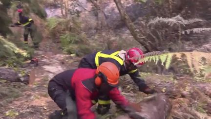 En Gironde, les feux de forêt ne sont pas fixés, mais la surface détruite n'augmente plus, vendredi 22 juillet.&nbsp;La Sécurité civile coupe les arbres fragilisés pour sécuriser la zone.&nbsp;Reportage au cœur d'une de ces patrouilles. (FRANCE 3)