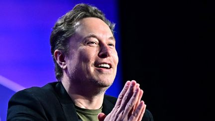 Elon Musk, le 6 mai 2024 à Los Angeles (Etats-Unis). (FREDERIC J. BROWN / AFP)