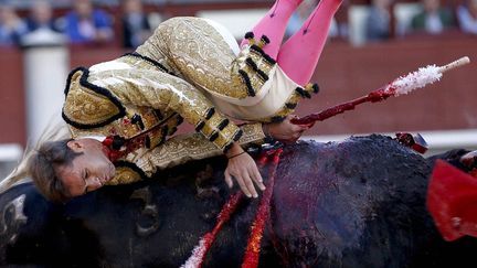 Le jeune matador espagnol&nbsp;Jesus Fernandez se fait renverser par un taureau lors d'une corrida &agrave; Madrid (Espagne), le 29 septembre 2013. (JUANJO MARTIN / EFE / SIPA)