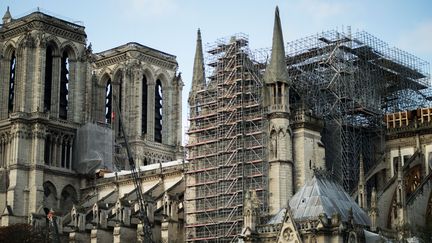 La cathédrale Notre-Dame le 3 novembre 2019 (ISELYNE PEREZ-KOVACS / HANS LUCAS)