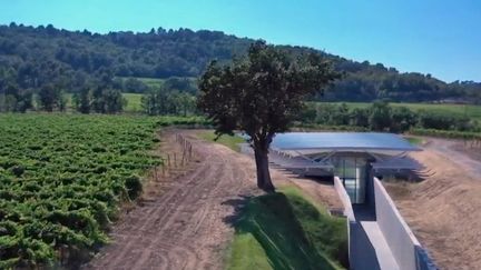 Culture : le château La Coste fait trôner l'art au milieu des vignes