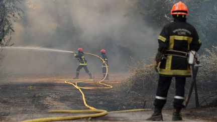 Incendie dans les Bouches-du-Rhône : quelles conséquences pour les professionnels ?