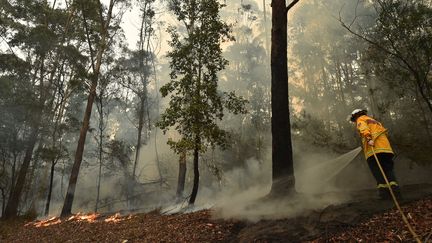 Un pompier combat lers flammes dans la végetation australienne. le 5 janvier 2020.
 (PETER PARKS / AFP)