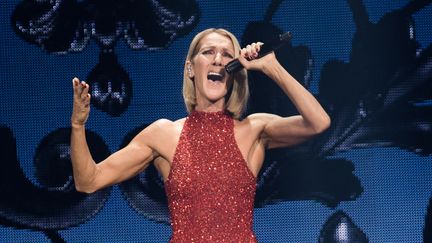 La chanteuse Céline Dion, le 19 septembre 2019, à Québec, au Canada.&nbsp; (ALICE CHICHE / AFP)