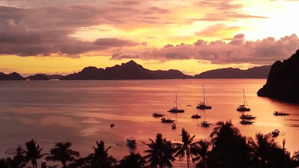 Philippines : les îles de Palawan, un paradis vert encore préservé des touristes (France 2)