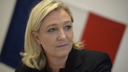 Marine Le Pen, lors d'une visite &agrave;&nbsp;Ch&acirc;lons-en-Champagne&nbsp;(Marne), le 11 novembre 2014.&nbsp; (MAXPPP)