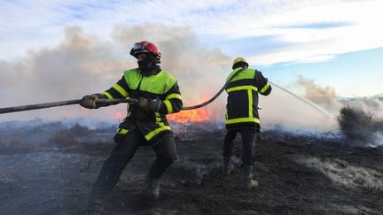 Des sapeurs-pompiers en opération sur un feu de végétation à Toreilles (Pyrénées-Orientales) le 6 février 2023. (YACINE BOUCHAIB / SDIS 66)