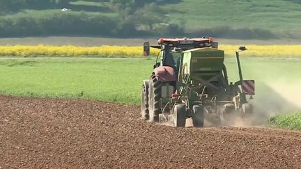 Dans le Grand Est, la première quinzaine du mois d’avril est la plus chaude enregistrée depuis que les relevés existent. La menace d’une sécheresse plane, ce qui inquiète les agriculteurs. (France 3)