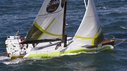 Le skipper irlandais Enda O'Coineen a démâté au large de la Nouvelle Zélande. (DAMIEN MEYER / AFP)