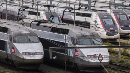 Des TGV au Technicentre Atlantique de Châtillon, le 31 octobre 2019. (VINCENT ISORE / MAXPPP)