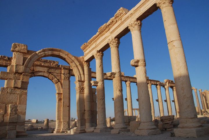 Colonnade dans la cité antique de Palmyre en Syrie
 (Georg Ismar / DPA / dpa Picture-Alliance/AFP)