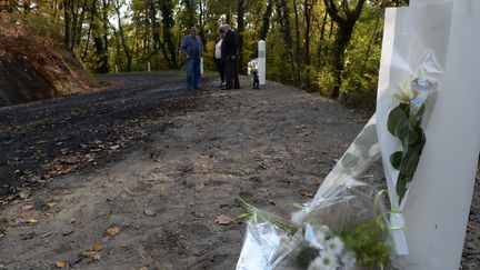 Des fleurs sont posées à l'endroit&nbsp;de l'accident de Puisseguin (Gironde), le 29 octobre 2015. (MEHDI FEDOUACH / AFP)